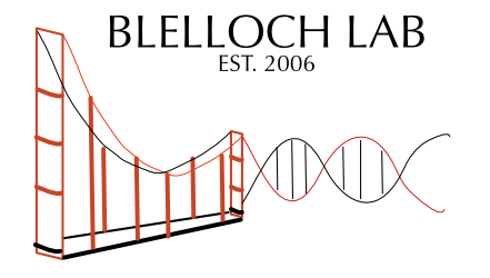 Blelloch Lab homepage